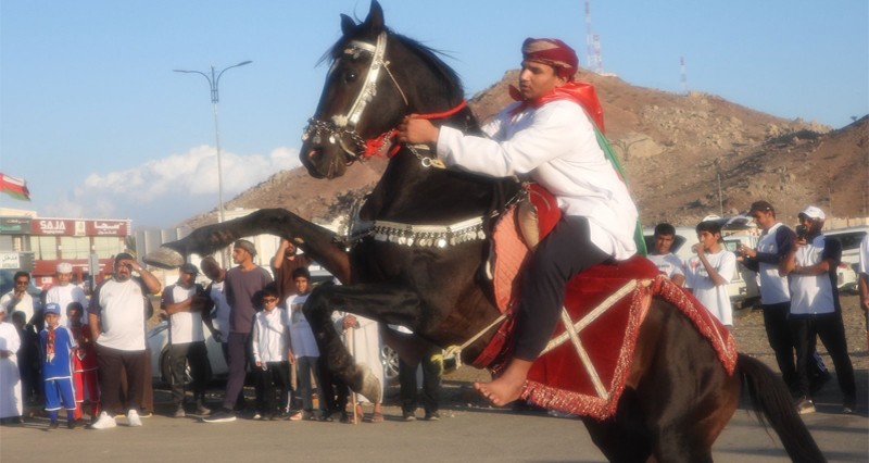 مسير وطني على ظهور الجياد فـي ينقل
