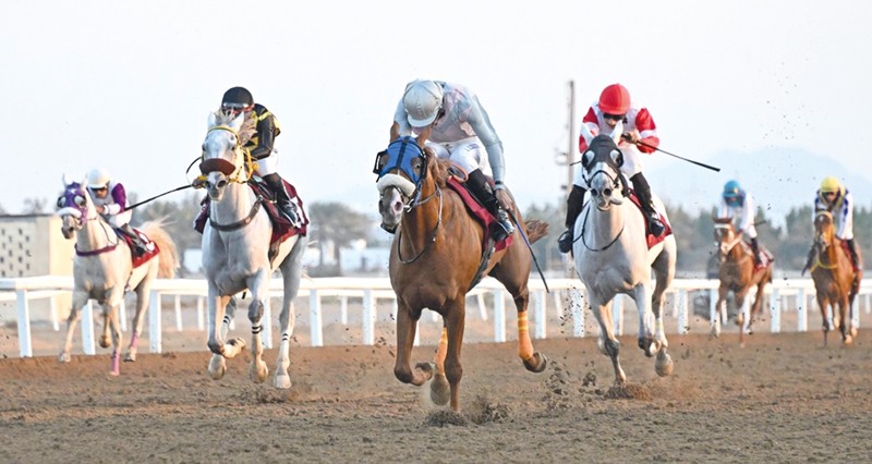 8 أشواط فـي السباق السادس لسباقات الخيل بمضمار الرحبة