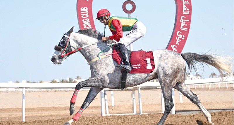 8 أشواط فـي السباق السادس لسباقات الخيل بمضمار الرحبة