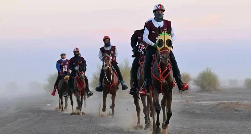 هبوب مسقط يخطف لقب كأس اليوم الوطني للقدرة والتحمل ببركاء