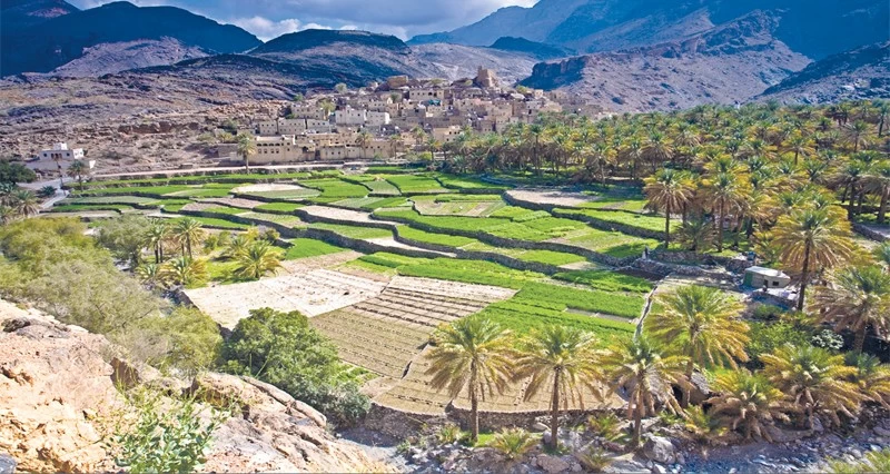 48.7% ارتفاعا فـي عدد التصاريح الممنوحة للمشاريع السياحية بجنوب الباطنة