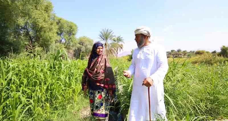 مسلسل عائلة VIP يسلط الضوء على القضايا المجتمعية