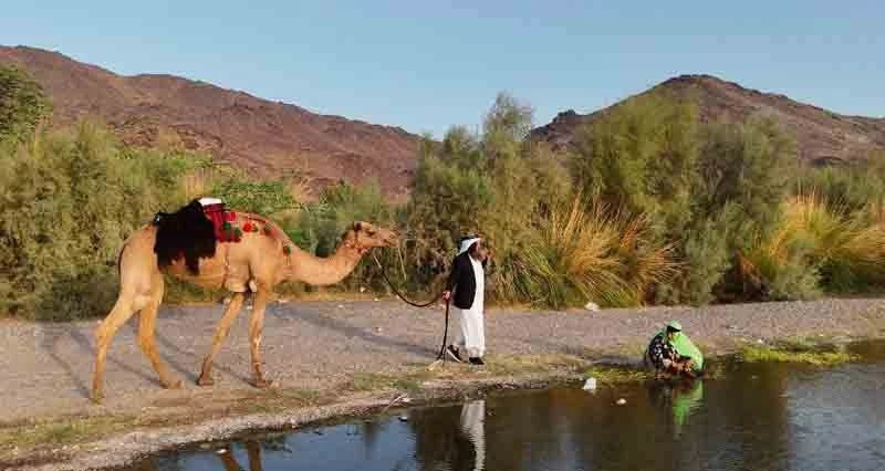 مسلسل عائلة VIP يسلط الضوء على القضايا المجتمعية