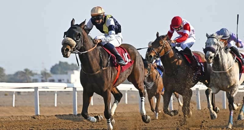 الخيالة السلطانية تتوج بكأس الديربي العماني فـي سباق الخيل التاسع ببركاء