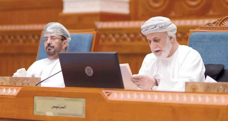 &laquo;الدولة&raquo; يناقش &laquo;البيانات والمعلومات الجغرافية&raquo; و&laquo;تعزيز التحصيل الدراسي&raquo;