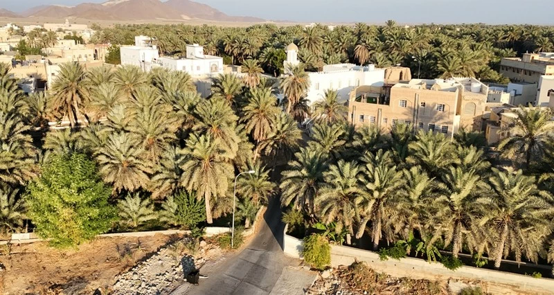 محلة المطلع معلم ديني وتراثي وثقافـي بوادي المعاول