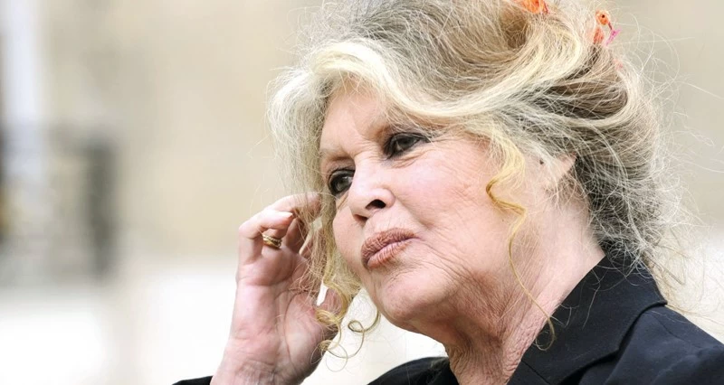 وفاة أيقونة السينما الفرنسية بريجيت باردو عن 91 عاما