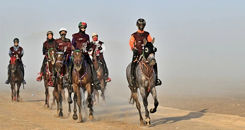 زمزم الحسنية تتوّج بلقب سباق الفتيات للقدرة والتحمل ببركاء
