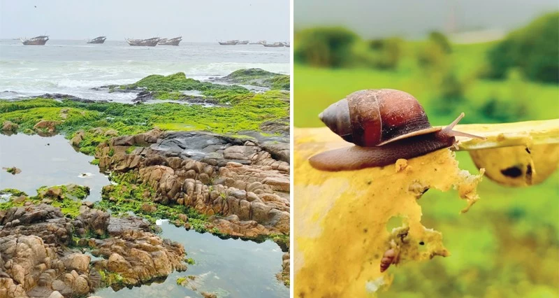 عدسة المصور حميد الغافري توثق جماليات المكان وسر الطبيعة والتراث