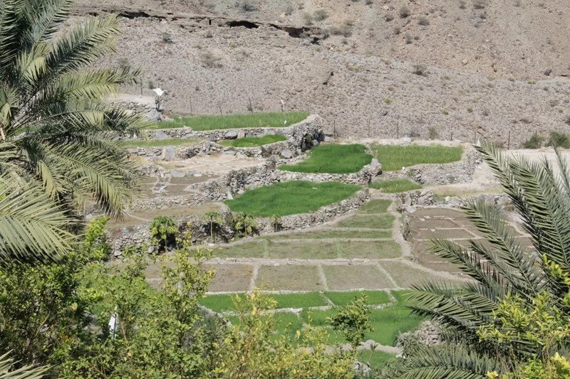 قرية 'مدروج' بوادي السحتن.. وجهة سياحية تقدم لزوارها تجربة تراثية وطبيعية