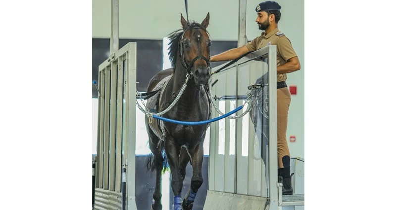 شرطة عمان السلطانية تعزز الثقة المتبادلة وترسخ قيم التعاون وحفظ النظام