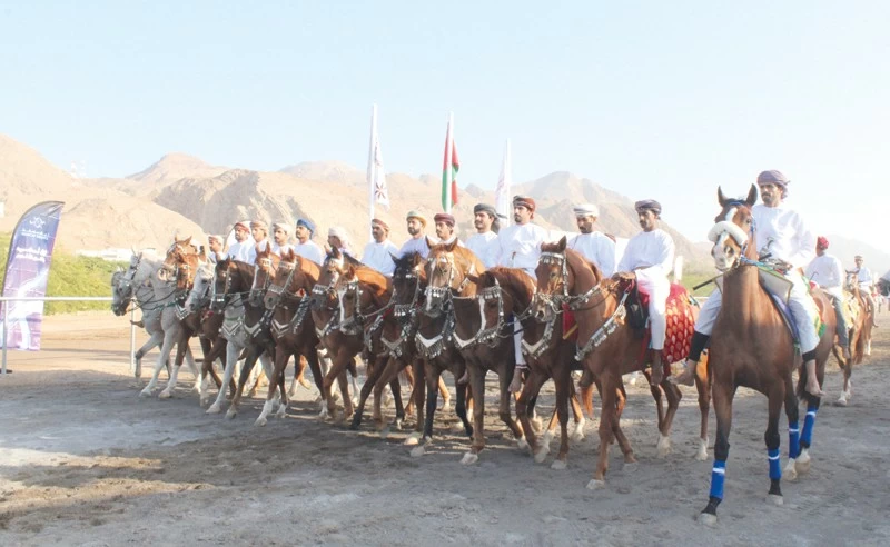 العامرات تحتفي بعرضة الخيل فـي مشهد يجمع التراث والإثارة