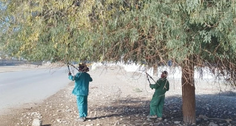 حملات مكثفة للنظافة فـي المصنعة