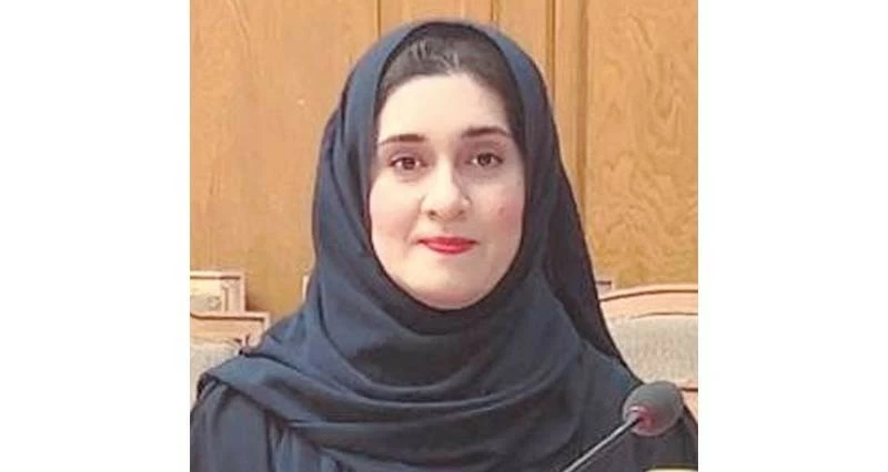 مناقشة قانون حماية الأطفال من التجنيد فـي النزاعات المسلحة فـي القاهرة