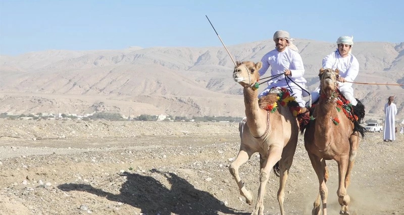 ركض العرضة للهجن والخيول ضمن فعاليات &laquo;شتاء دوت&raquo;