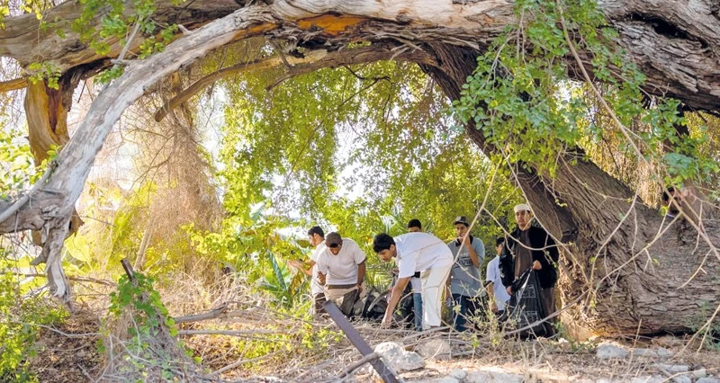 تسوية الطرقات وتنظيف السواقي بفلج الضبي