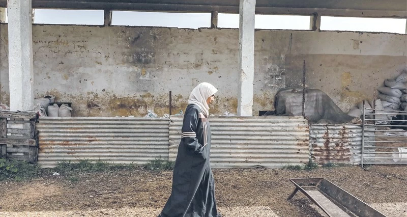 ارتفاع شهداء العدوان على غزة وبيان عربي إسلامي يدين الممارسات بالضفة