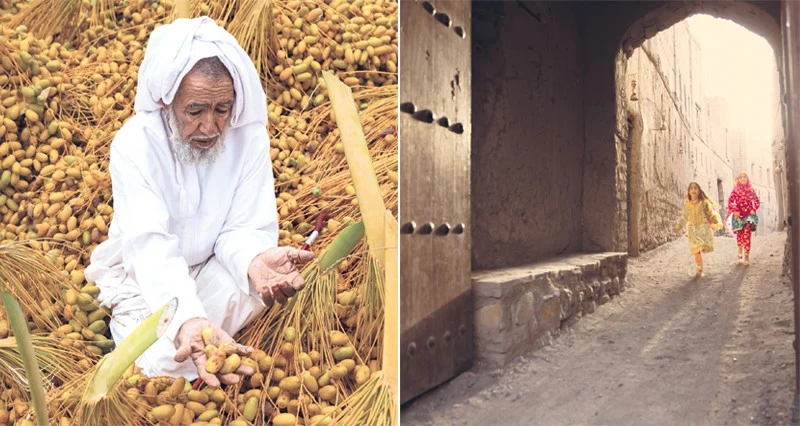 عبدالرحيم الرواحي : عدستي ألهمتني سرد الإيقاع البصري بالضوء والظل