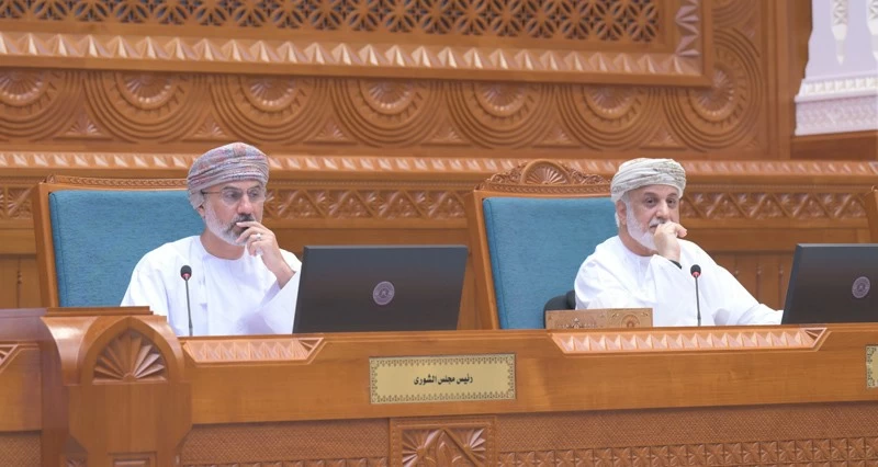 &laquo;الدولة&raquo; و&laquo;الشورى&raquo; ينهيان مناقشة المواد محل التباين بشأن سبعة مشروعات قوانين
