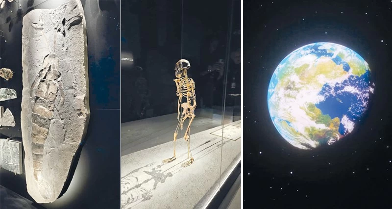 كنوز خفية فـي متحف التاريخ الطبيعي أبوظبي