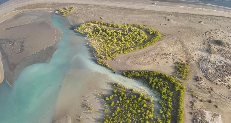 خور القرم .. وجهة سياحية جاذبة فـي المصنعة