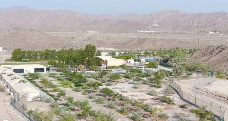 مخيم &laquo;النيم&raquo; .. نموذج مبتكر للسياحة التجريبية فـي نزوى