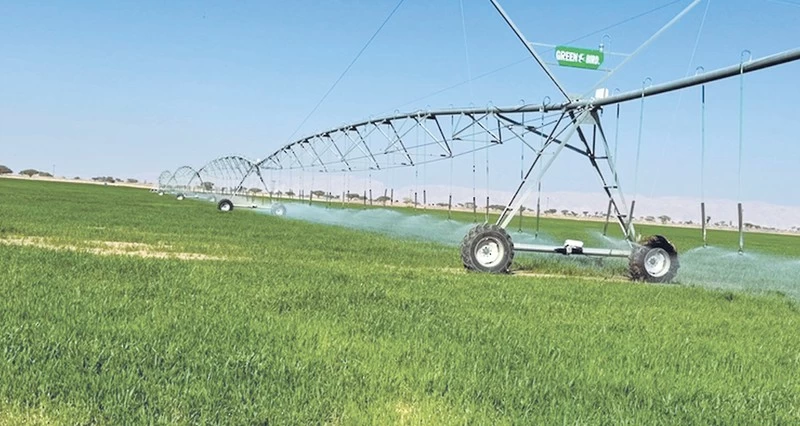 طرح أكثر من 15 فرصة استثمارية زراعية وغذائية بجنوب الباطنة