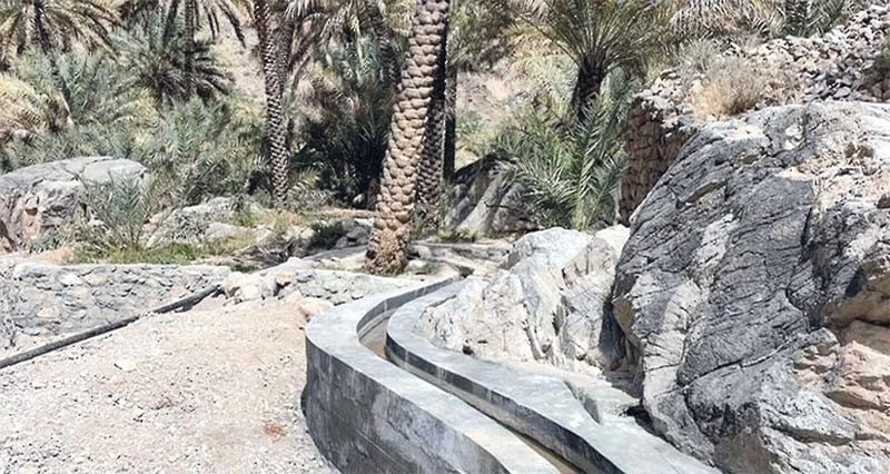 نظام ريّ لتبديل فلج الغريض بنخل بين الصيف والشتاء