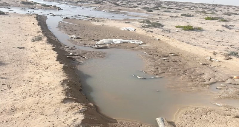 ضبط مخالفة بيئية بجنوب الشرقية