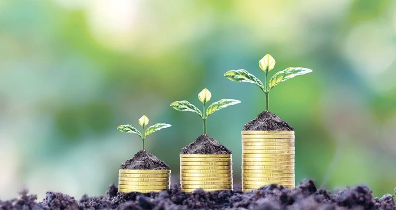 صندوق بنك ظفار لأسهم دول مجلس التعاون الخليجي يوزع أرباحا بنسبة 2.5%