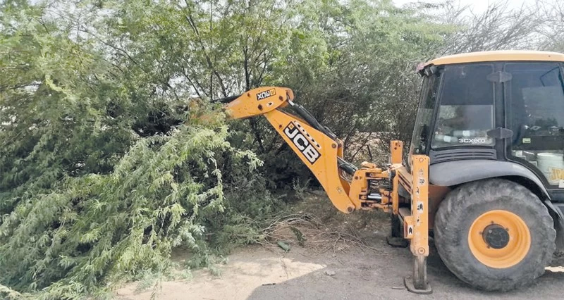 إزالة أشجار &laquo;المسكيت&raquo; فـي الظاهرة