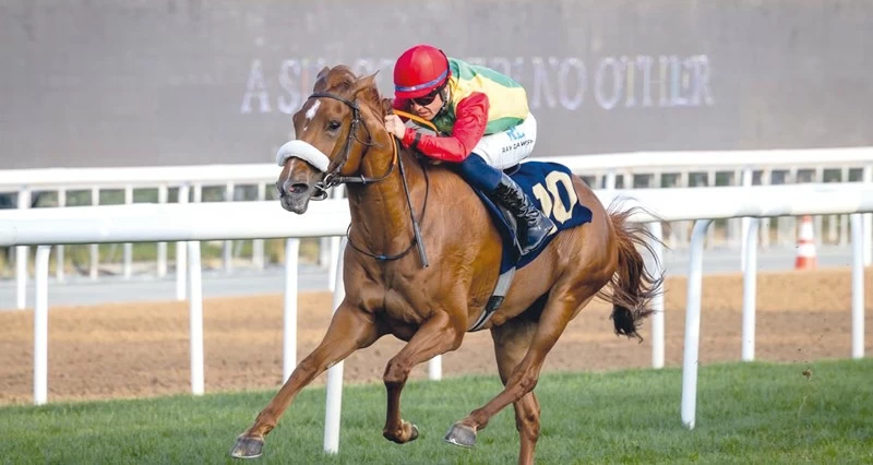 الفرس عزة للخيالة السلطانية تفوز بالمركز الأول على مضمار أبوظبي