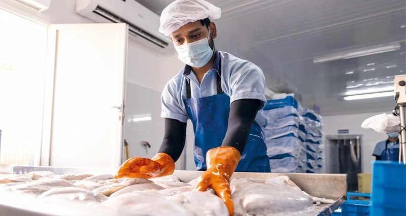 حجم الاستثمار التراكمي فـي المنطقة الحرة بالمزيونة يتجاوز 140 مليون ريال عماني