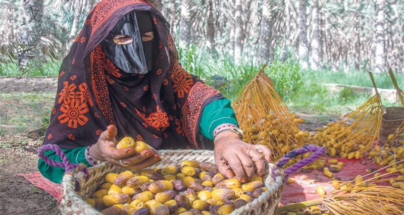 الصورة الضوئية العمانية.. صناعة إبداعية تتقاطع مع الإنسان والثقافة والمجتمع