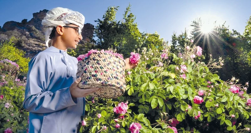 الصورة الضوئية العمانية.. صناعة إبداعية تتقاطع مع الإنسان والثقافة والمجتمع