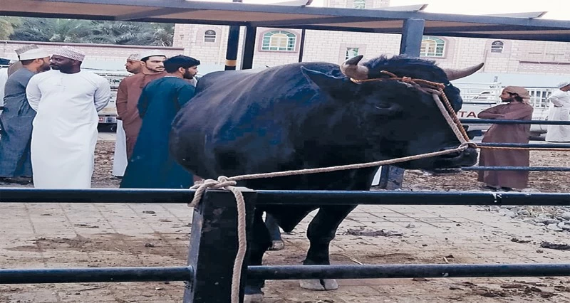 حركة تجارية نشطة تشهدها أسواق سلطنة عمان تزامنا مع إقامة هبطات عيد الفطر