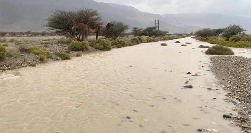 استمرار تأثيرات الحالة الجوية على عدد من محافظات سلطنة عمان