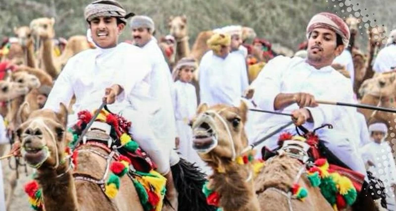 عروض مميزة فـي سباق عرضة الهجن والخيل بقرية محارة بالمصنعة