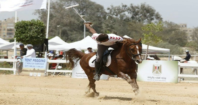 اليوم سلطنة عمان تستضيف اجتماعات الاتحاد الدولي لالتقاط الأوتاد