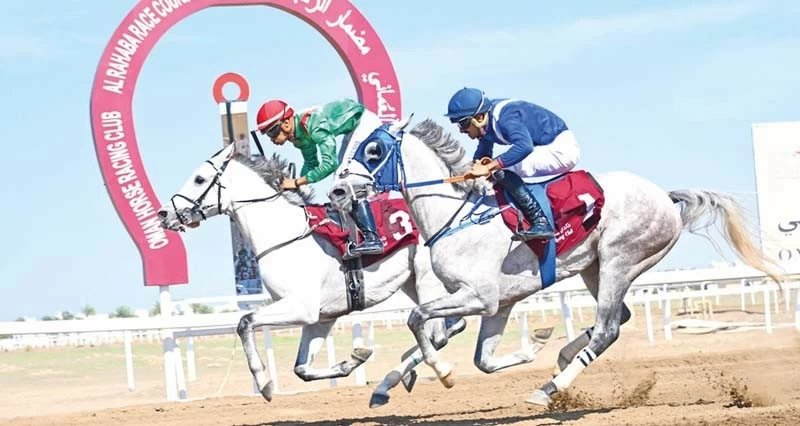 9 أشواط فـي السباق الـ22 لسباقات الخيل بمضمار الرحبة