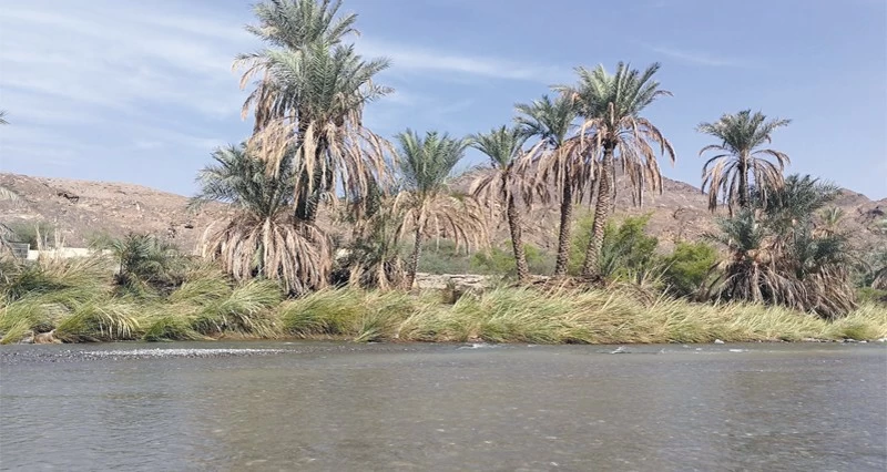 حركة سياحية نشطة بأودية الرستاق