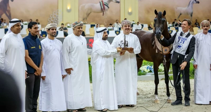 المهر أشرف أر سي للخيالة السلطانية يتوج بلقب البطل البرونزي للأمهار