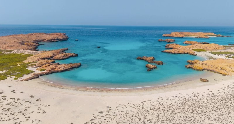 أكثر من 136 ألفًا زوار محمية جزر الديمانيات