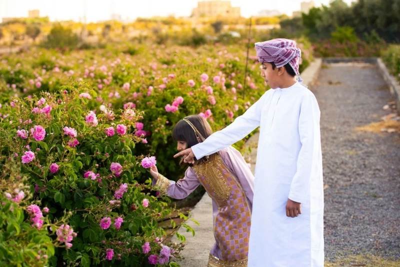 موسم ربيع الورد يعزز الحركة السياحية وينشط الاقتصاد المحلي بمحافظة الداخلية