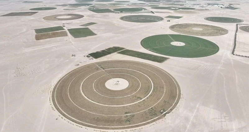 29 مليون ريال عماني حجم الاستثمارات الجديدة المنفذة فـي مشروعات الأمن الغذائي