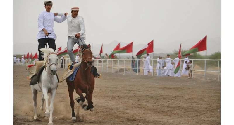 الحصان &laquo;نيلكور&raquo; يتوج بكأس النخبة و&laquo;بارود&raquo; بشوط سور بهلاء في مهرجان الفروسية ببهلاء