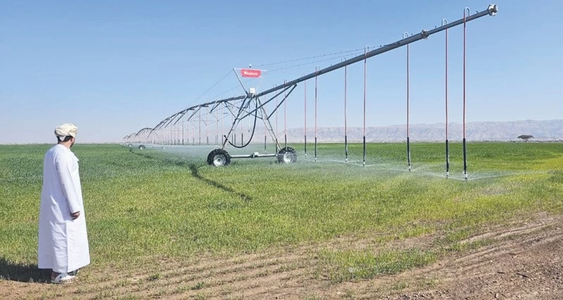 مشروعات استثمارية فـي القطاع الزراعي بالظاهرة بقيمة 50 مليون ريال عماني