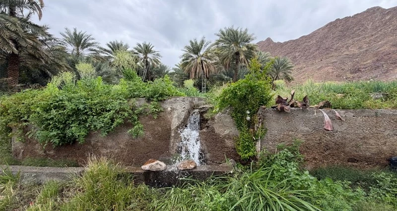 جريان الأودية والسواقي بـ&laquo;حيل الخنابشة&raquo;