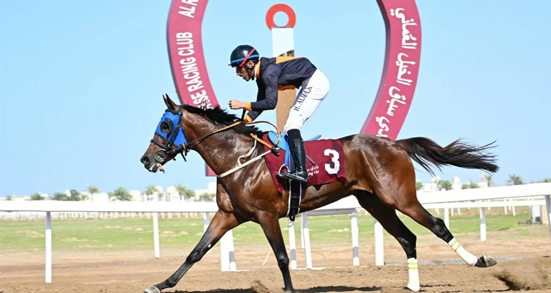 5 أشواط فـي السباق الختامي لسباقات الخيل بمضمار الرحبة بولاية بركاء