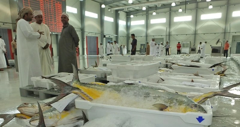 1.9 مليار ريال عُماني إجمالي الاستثمارات المنفذة بقطاعات الأمن الغذائي خلال الخطة الخمسية العاشرة